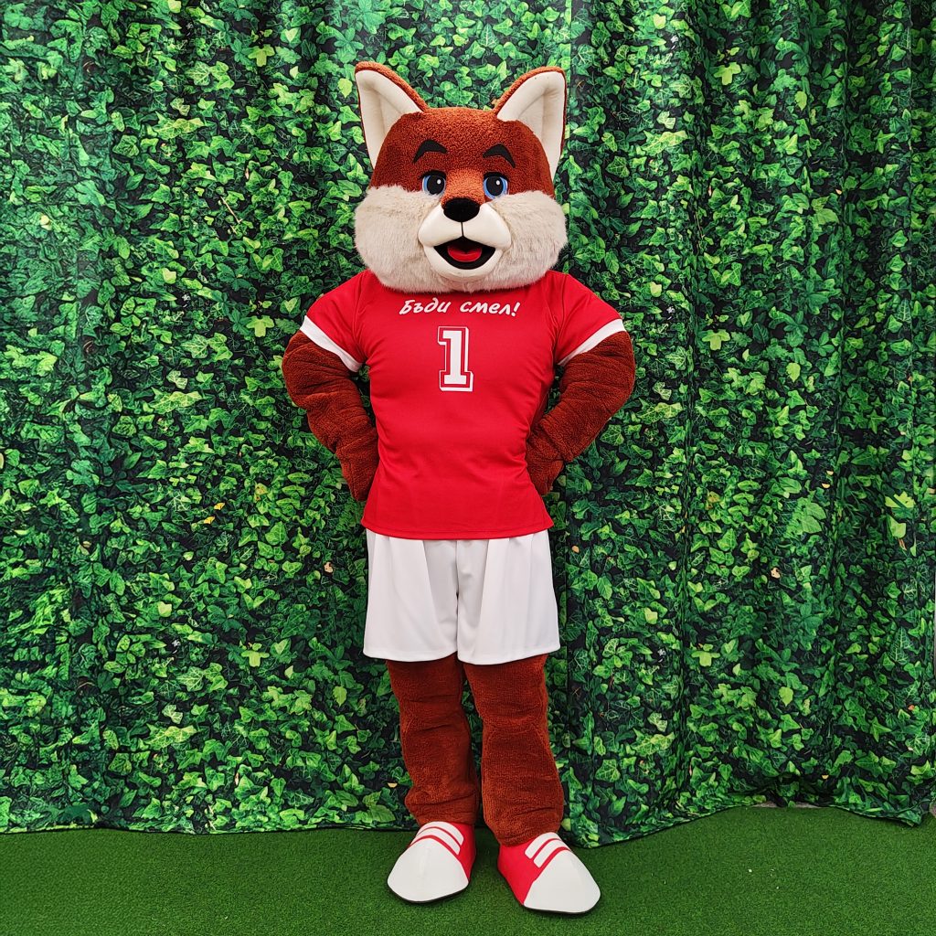 Mascot costumes